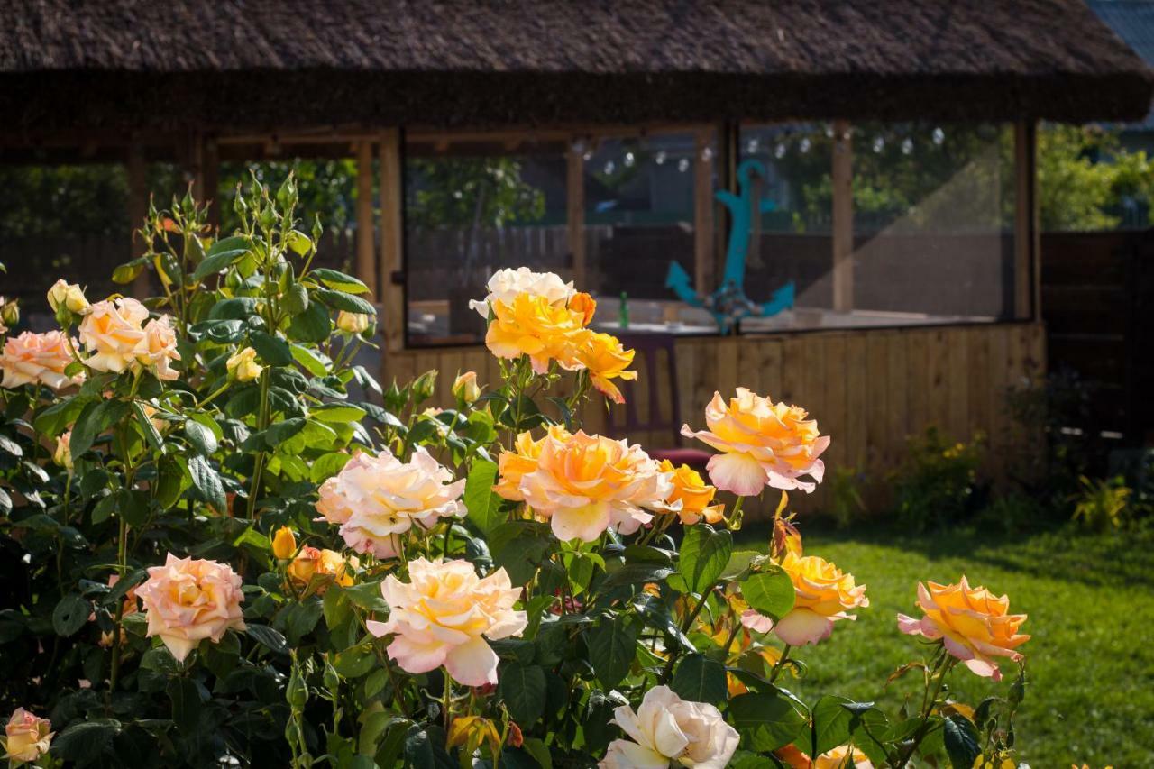 Zen Eco Villa Sfântu Gheorghe Zewnętrze zdjęcie